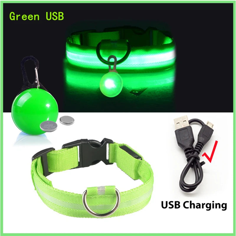 Green USB rechargeable LED dog collar with a safety pendant and charging cable