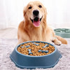 Slow Feeder Dog Bowl with Non-Slip Base