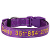 Personalisierte bestickte Nylon-Hundehalsband