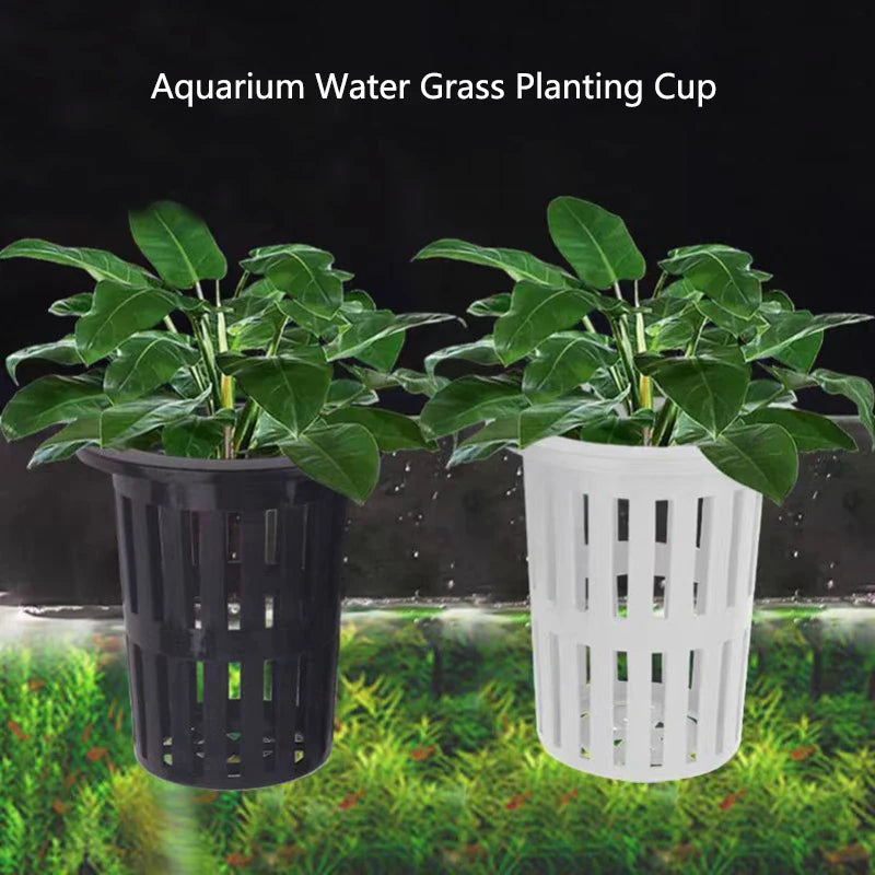 Wall-Mounted Aquarium Plant Basket with Hanging Hook