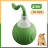 A green, golf-ball shaped pet toy with a curved green tail style.