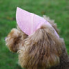 Adjustable Pet Baseball Hat with Ear Holes