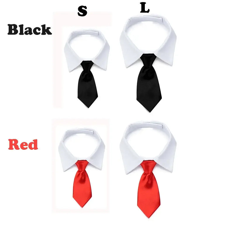 Corbata y Pajarita Formal para Mascotas