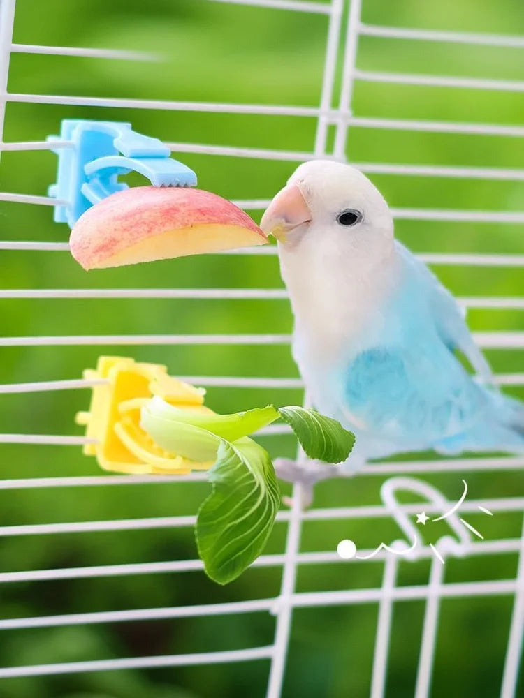Parrot Food Holder Clip with Chain – Bird Cage Fruit & Vegetable Feeder