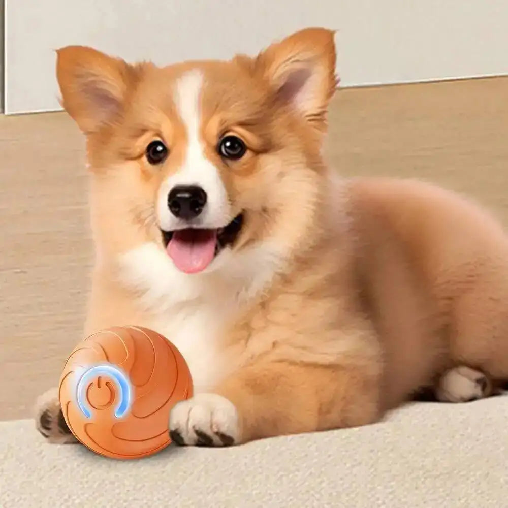 A fluffy Shiba Inu dog lying down next to an orange interactive pet ball.