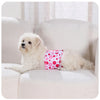 A fluffy white dog is lying on a light-colored sofa next to a pink patterned reusable sanitary pant.