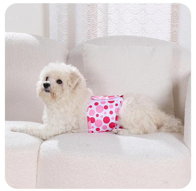 A fluffy white dog is lying on a light-colored sofa next to a pink patterned reusable sanitary pant.