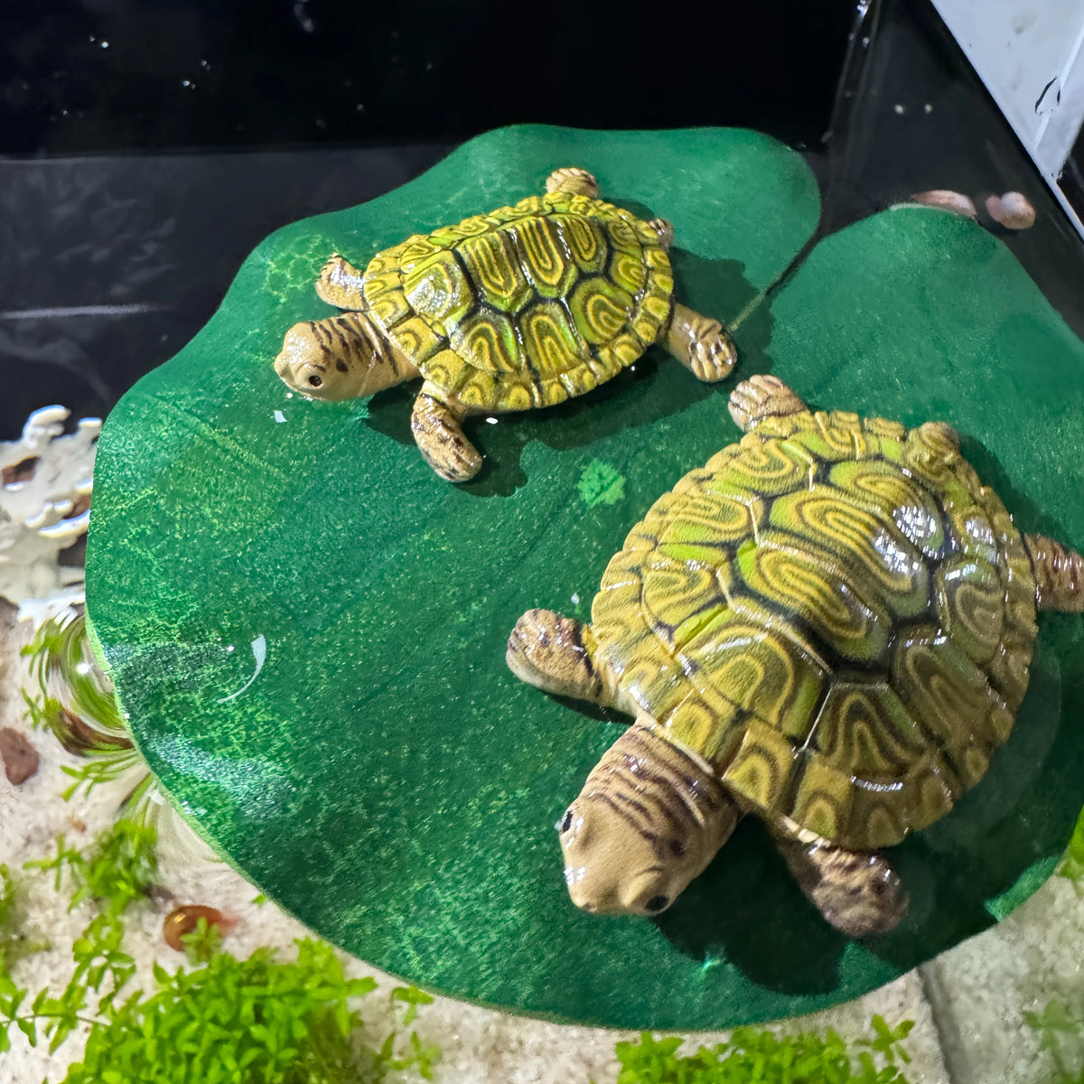 A set of five green and yellow turtle floating ornaments resting on a green surface.