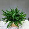 Lifelike Tropical Artificial Palm Plant for Indoor and Outdoor Decor