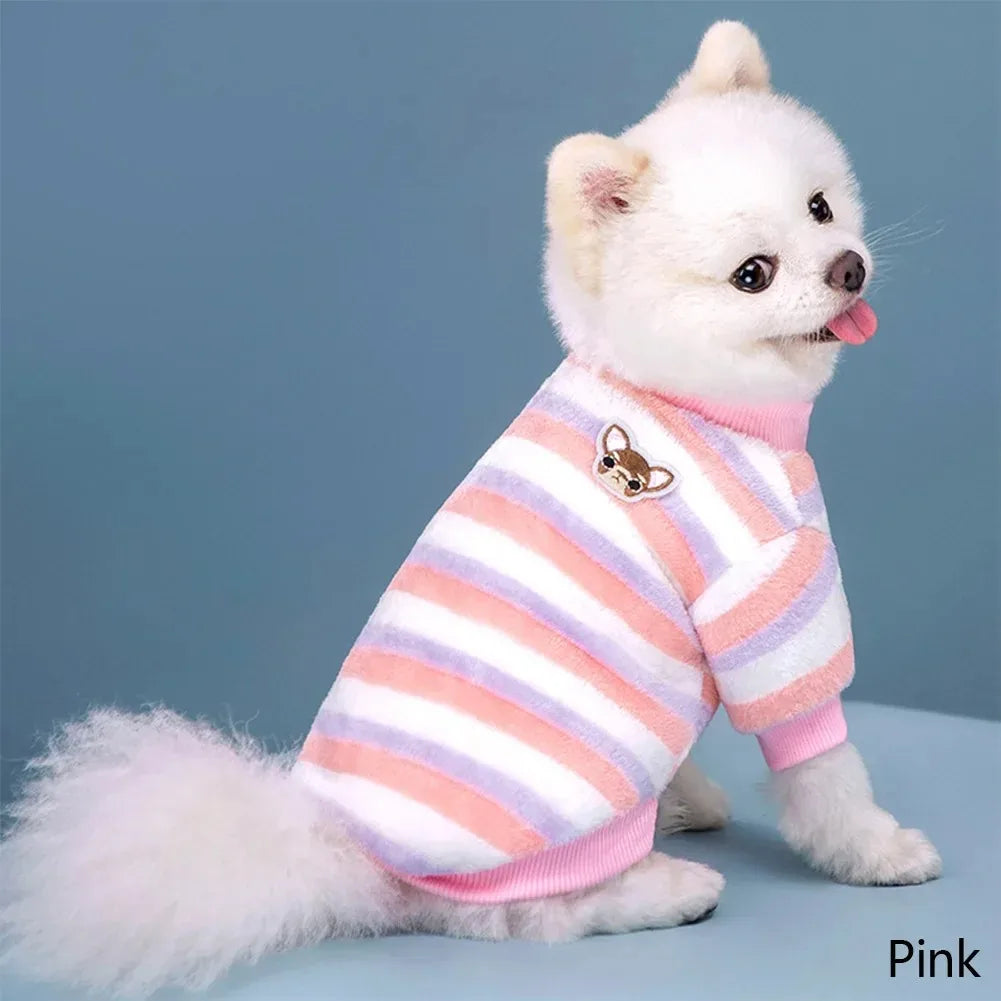 A white dog wearing a pink and white striped cotton flannel sweater with a small brown patch on the chest.