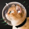 A cat is inside a transparent grooming hood, with green light beams indicating airflow.