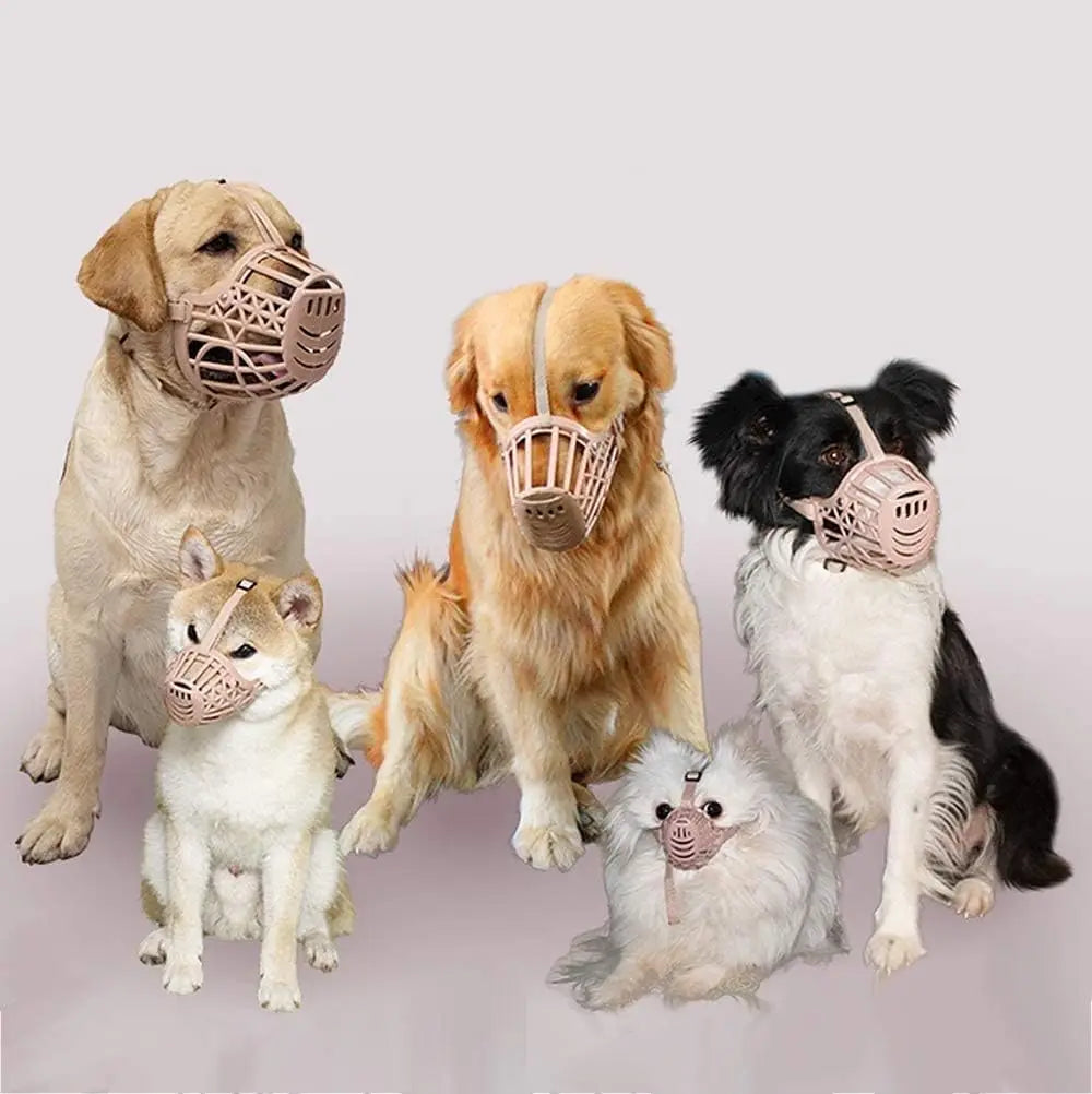 A collection of dog puppies wearing adjustable anti-bite muzzle accessories.