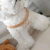 Crystal Rhinestone Dog Collar with Bone Pendant