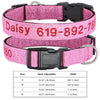 Personalisierte bestickte Nylon-Hundehalsband