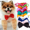 Pet Bow Tie Collar with Adjustable Strap
