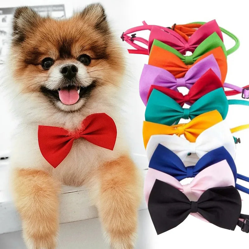 Pet Bow Tie Collar with Adjustable Strap
