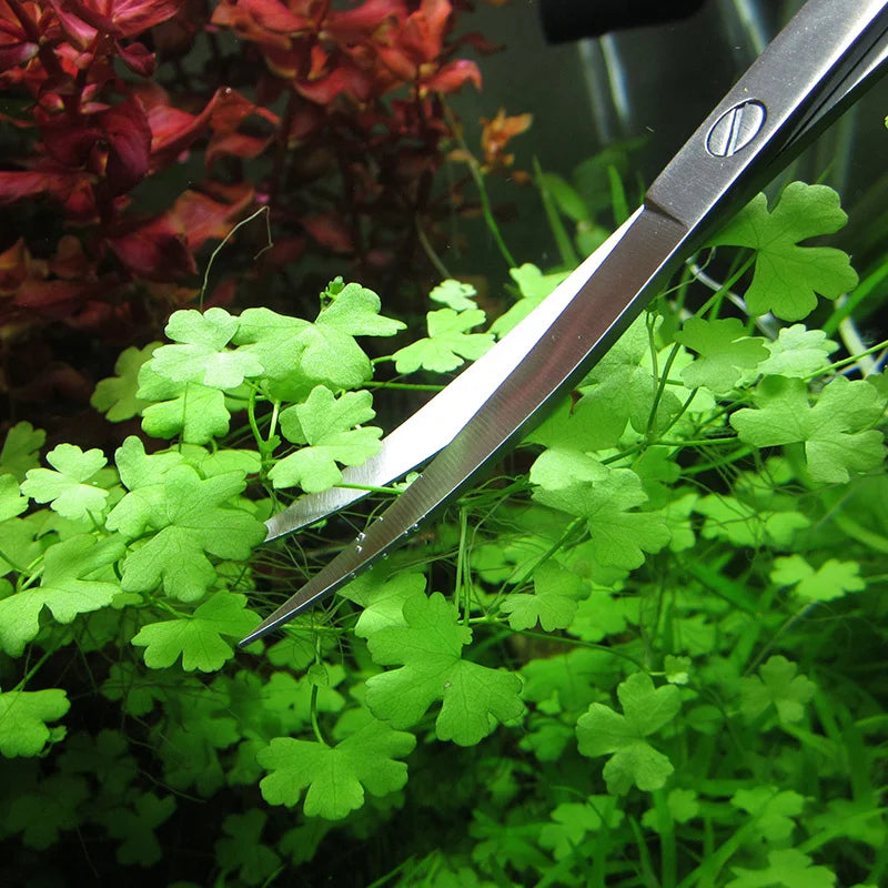 Kit d'outils en acier inoxydable pour l'entretien des plantes d'aquarium