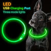 USB-wiederaufladbarer LED-Hundehalsband für mehr Sicherheit bei Nacht