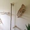 Wall-Mounted Cat Climbing Shelf Set with Hammock and Scratching Posts