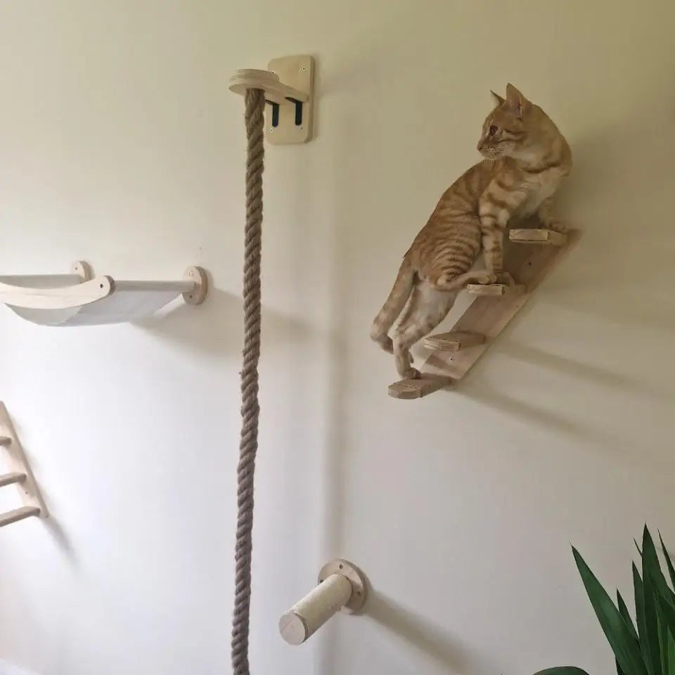 Wall-Mounted Cat Climbing Shelf Set with Hammock and Scratching Posts