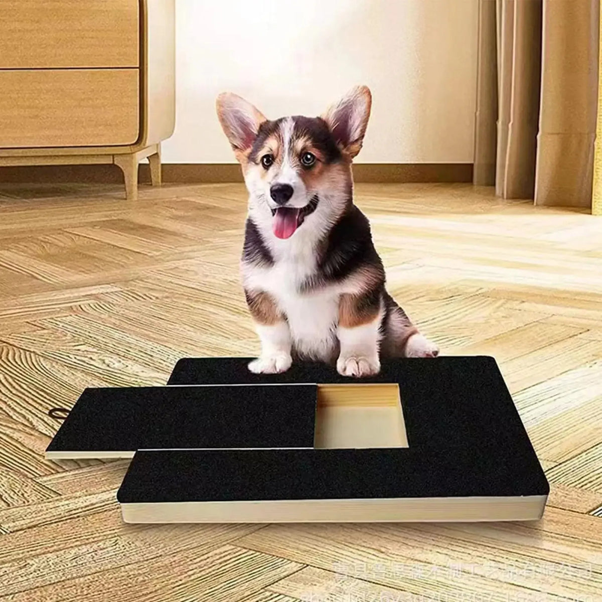Wooden Dog Nail Scratching Board with Built-in Treat Box