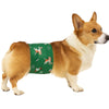 A light brown and white dog is wearing a green reusable belly band for training.