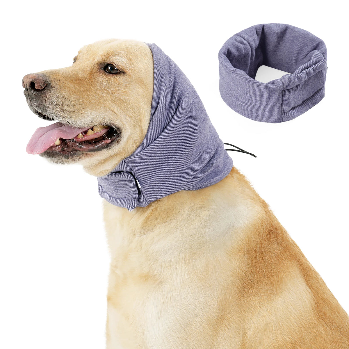 A golden retriever wearing a purple calming hoodie and ear covers for anxiety relief.