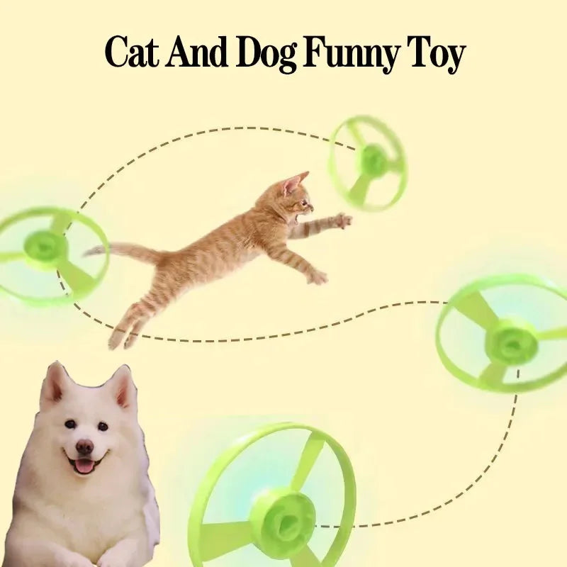 Interaktiver Katzen-Scheibenwerfer