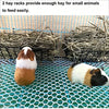 Compact Metal Hay Feeder Rack for Small Pets