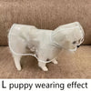 Clear Dog Raincoat with Button-Up Front