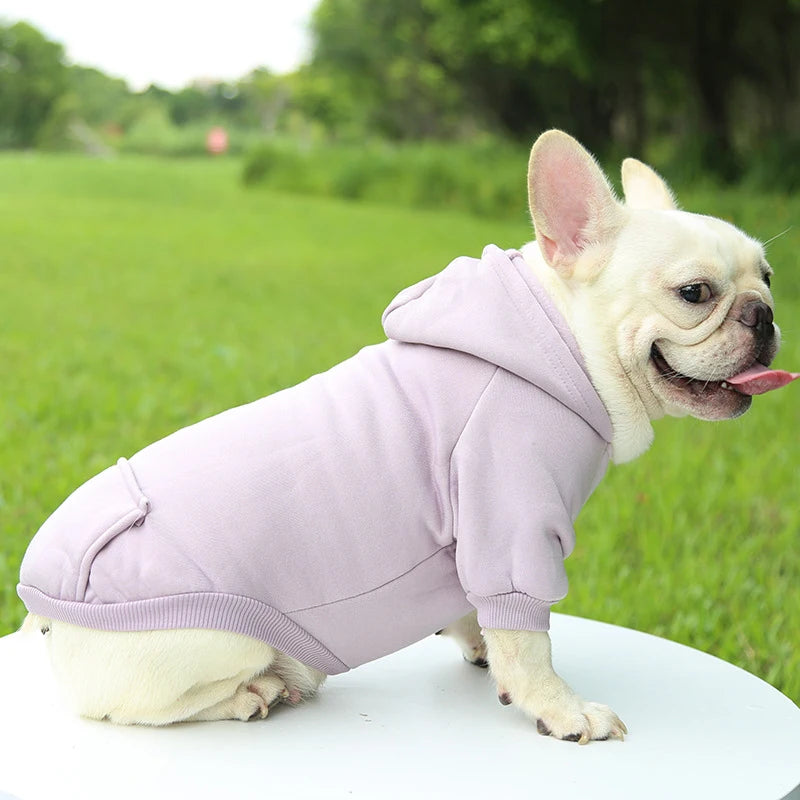 Suéter con Capucha Acogedor para Perros Pequeños