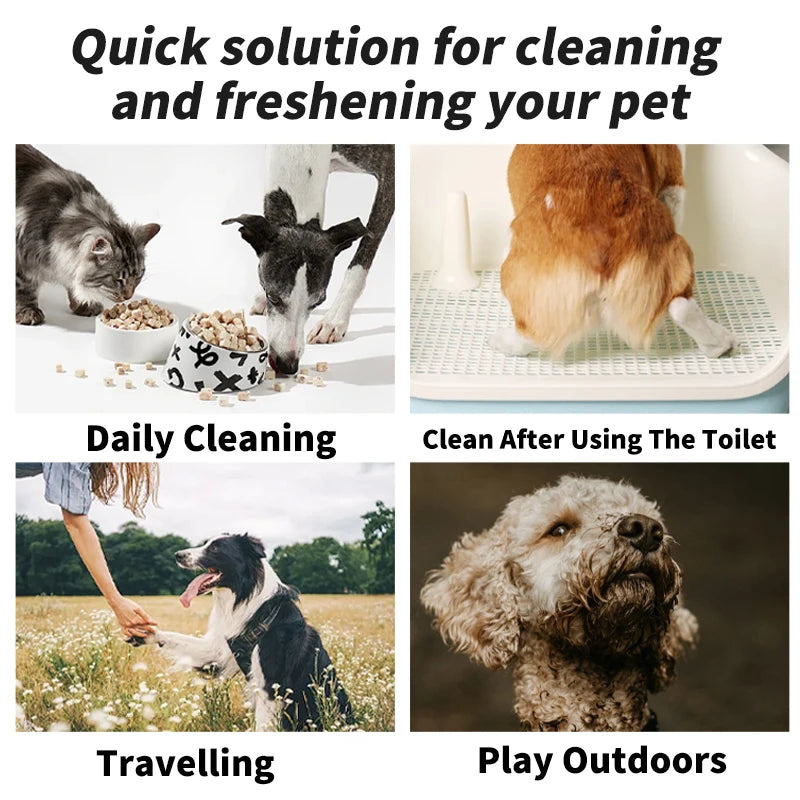 Plant-Based Deodorizing Pet Wipes for Sensitive Skin