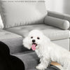 A fluffy white dog is standing on a gray pet ramp next to a light gray sofa.