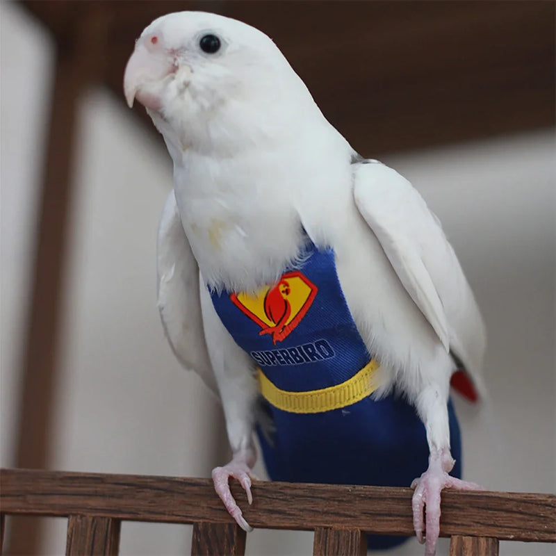 Traje de Vuelo Reutilizable para Loro de Algodón