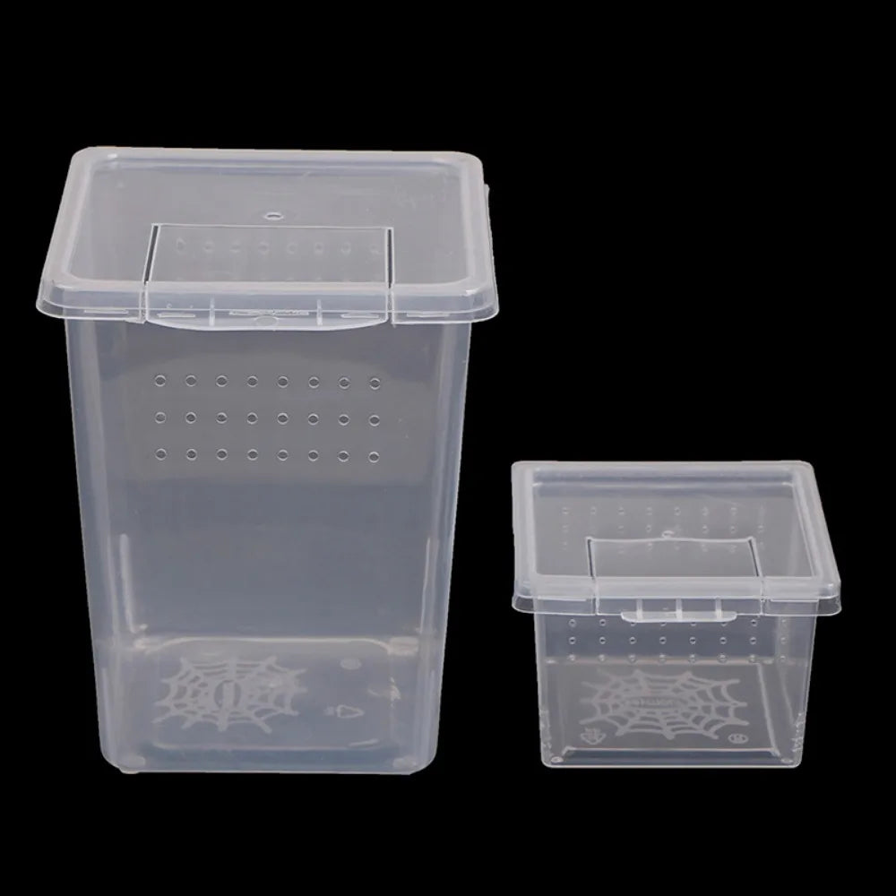 A clear plastic reptile habitat container with a lid and ventilation holes.