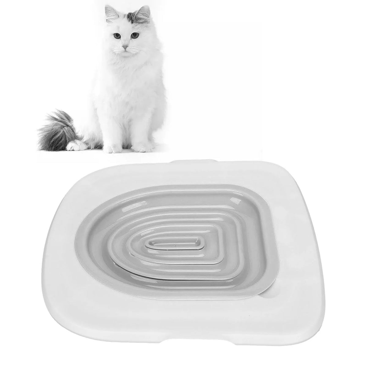 Eine weiße flauschige Katze neben einem weißen universellen Katzen-Toilettentraining-Set.