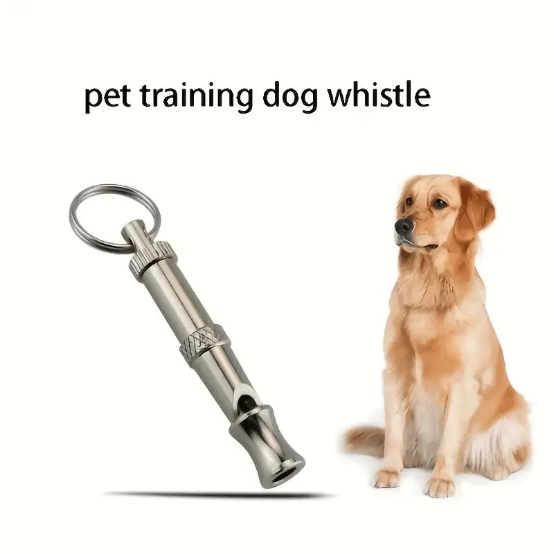 An adjustable stainless steel dog whistle lying next to a golden retriever.