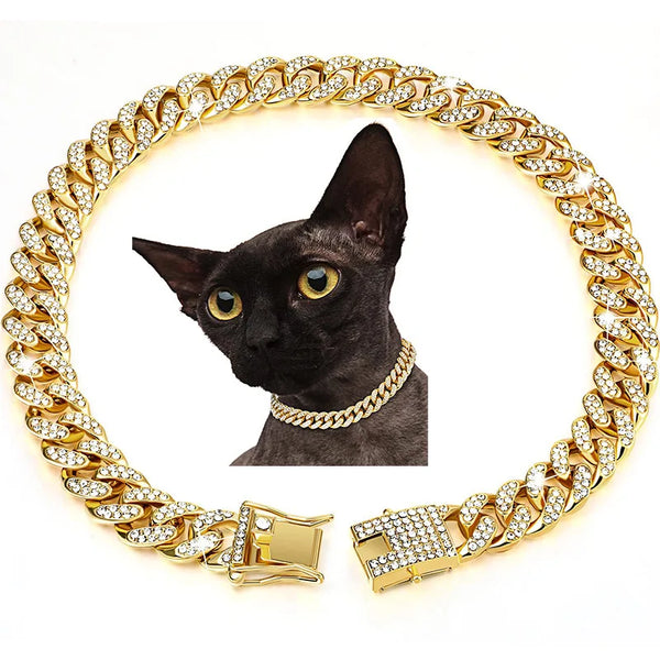 Collier en Chaîne Dorée pour Chien