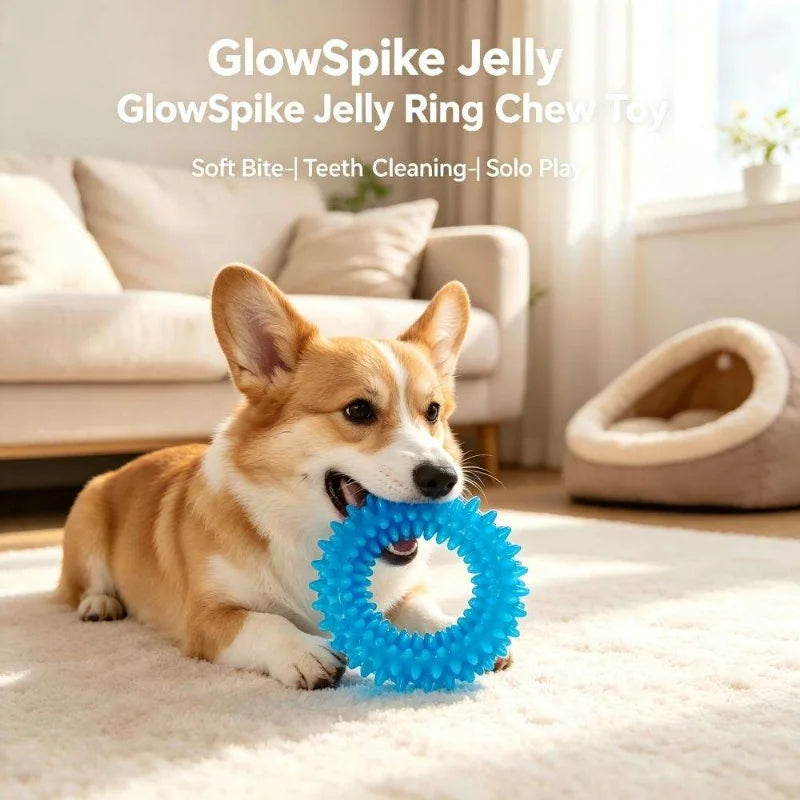A small dog is chewing a blue silicone ring chew toy for teeth cleaning.