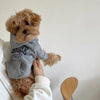 Sudadera de Fleece con Estampado de Oso de Peluche para Perros