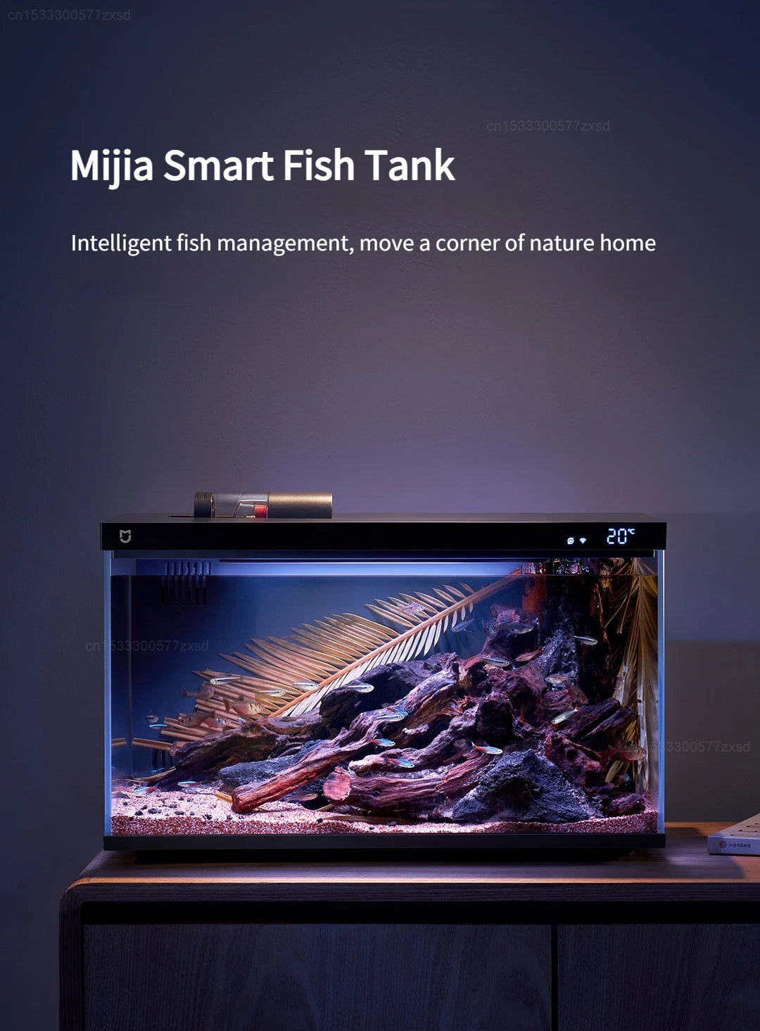 A modern, illuminated glass fish tank displaying a natural aquatic environment.