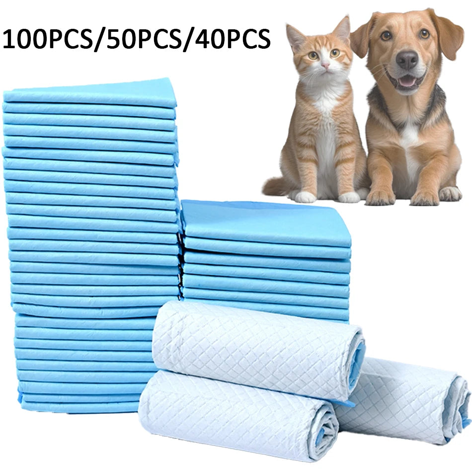 Disposable Absorbent Dog Diapers for Puppy Training
