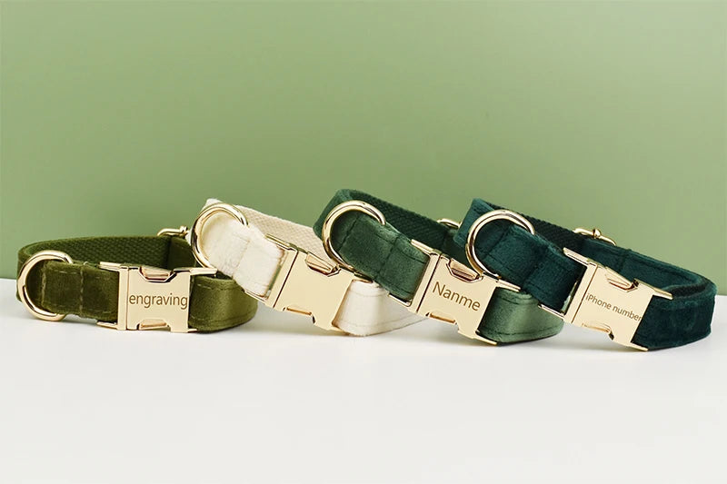 A set of luxury velvet dog collars and leashes with brass hardware and engraving options.