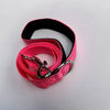 Reflective Dog Harness Collar and Leash Set (1.2-1.8m)
