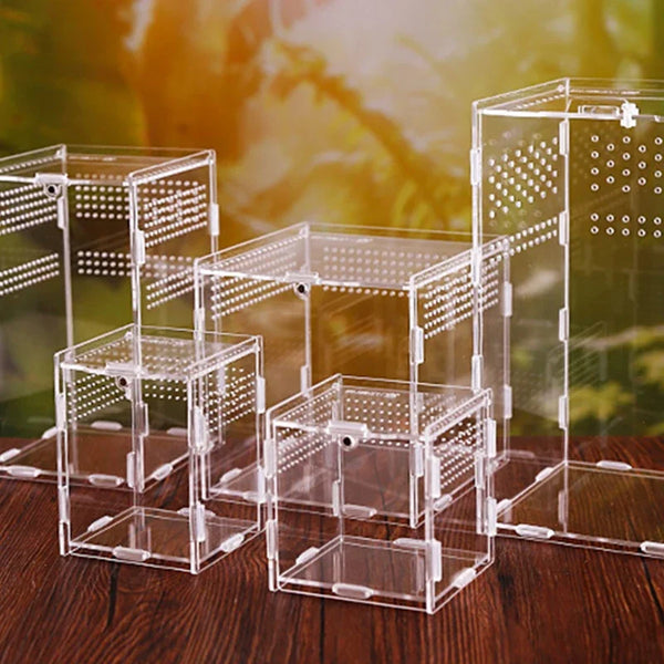 A collection of clear acrylic reptile terrariums displayed on a wooden surface.