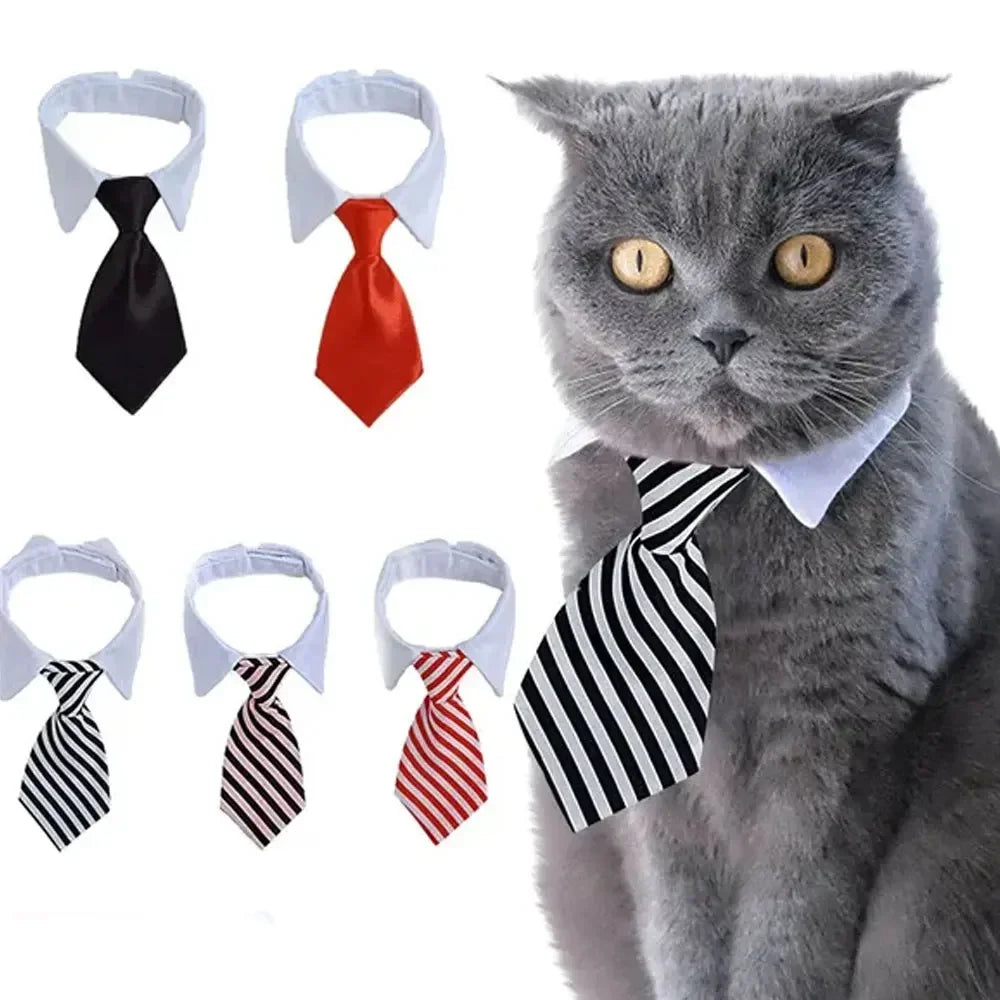A gray cat wearing an adjustable pet bow tie collar with various colored neckties.