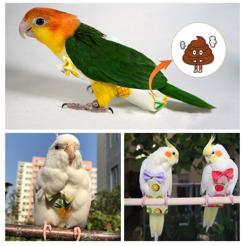 Parrot Diaper Flight Suit for Small Birds