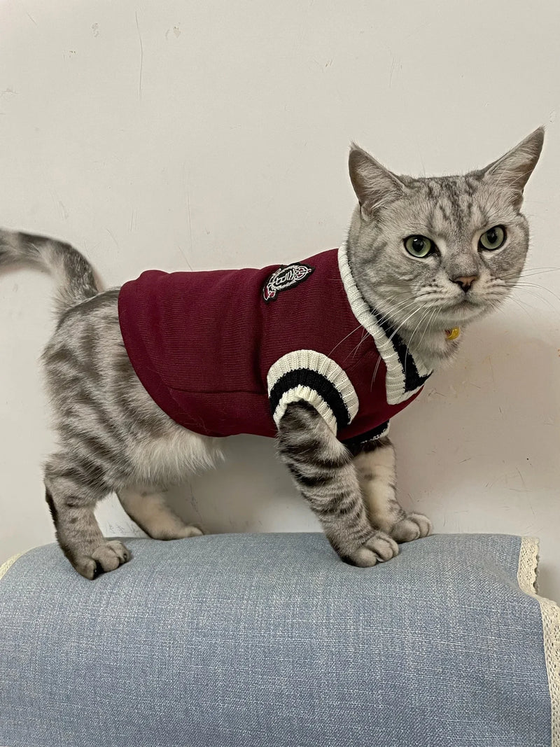 Suéter de Punto Acogedor para Mascotas