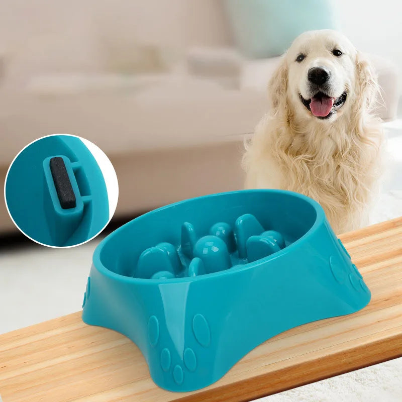 A bright blue slow feeder dog bowl is shown on a wooden board next to a happy golden retriever.