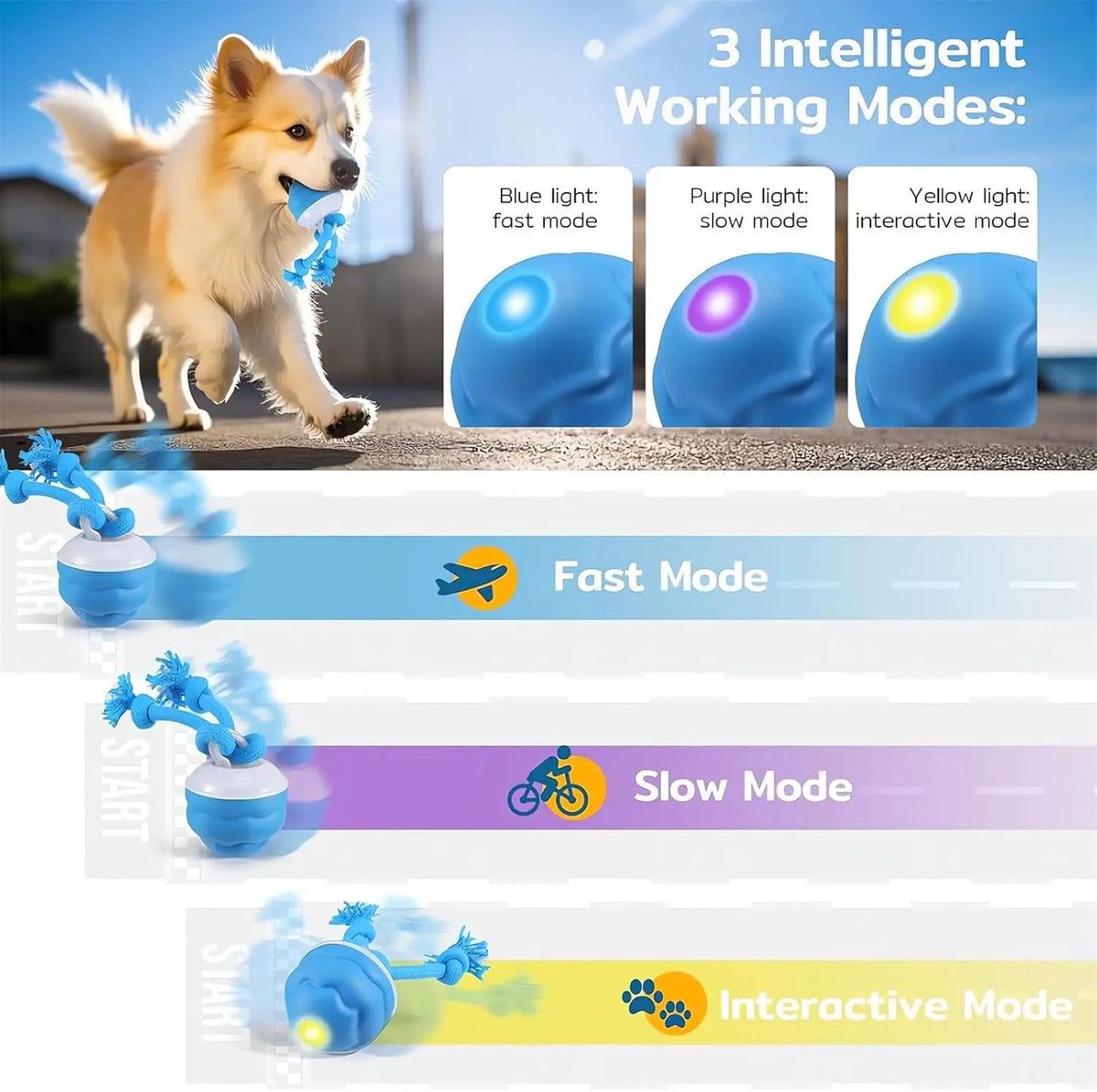 A golden dog is running next to a product demonstrating three LED working modes: blue fast, purple slow, and yellow interacti